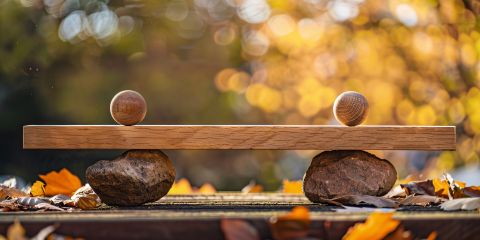 Texte alternatif de l'image